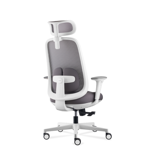 Backbalance Series